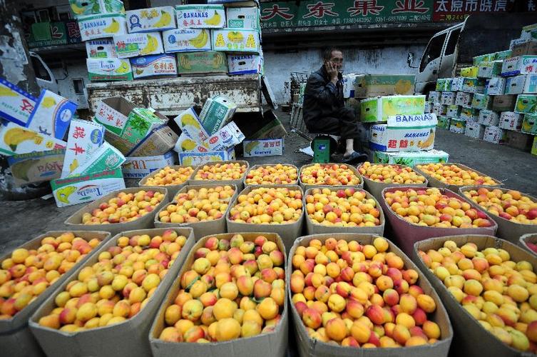 北京蔬菜农产品,水果批发市场大全